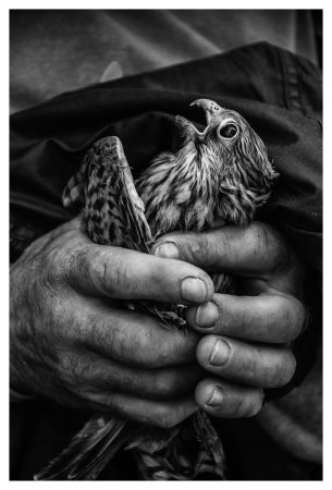 rescue_mission_by_xbastex-d6dvech