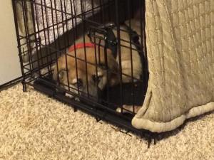 46897820_2076354919098391_7081555516597469184_n