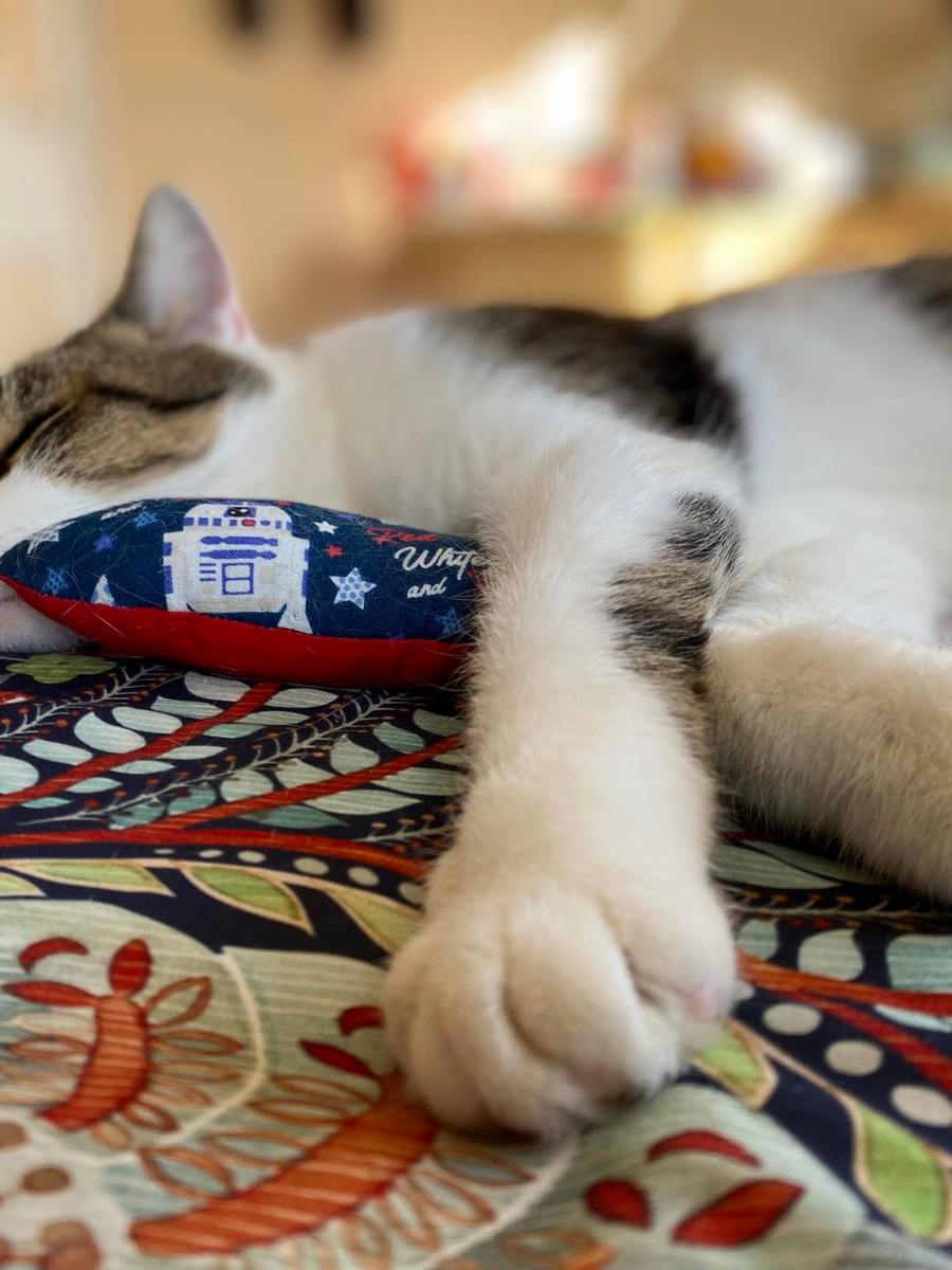 Adrenal Insufficiency Unveiled: The Science, the Struggles, and the Strength It&nbsp;Takes